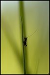 Salut a tous-img_1839.jpg