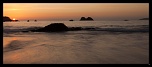-img_7365.jpg