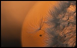 -img_9676.jpg