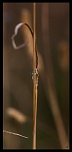 -img_4803.jpg