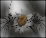 -img_2629.jpg