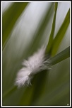 -img_1600.jpg