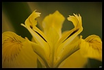 -img_1577.jpg