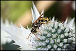 -2012-samoens-3.jpg