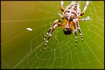 -img_3414-1.jpg