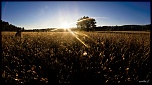 -img_6284.jpg