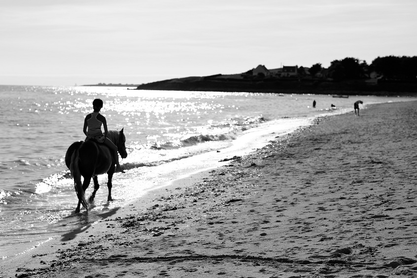 -20120811145221-898446f2.jpg