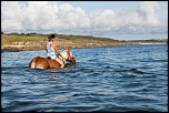 -20120811145218-5367c3f6.jpg