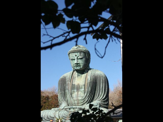 -daibutsu-kamakura.jpg