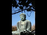 -daibutsu-kamakura.jpg