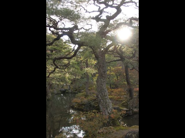 -jardin-du-temple-dargent-japon.jpg
