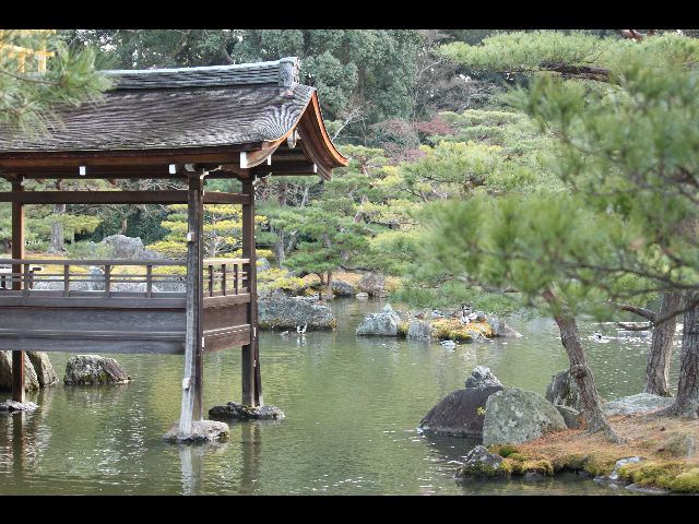 -jardin-du-temple-dor-japon.jpg