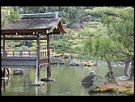 -jardin-du-temple-dor-japon.jpg