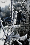 Remerciement-4290.jpg