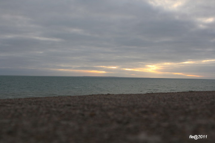 IMG 0002 1