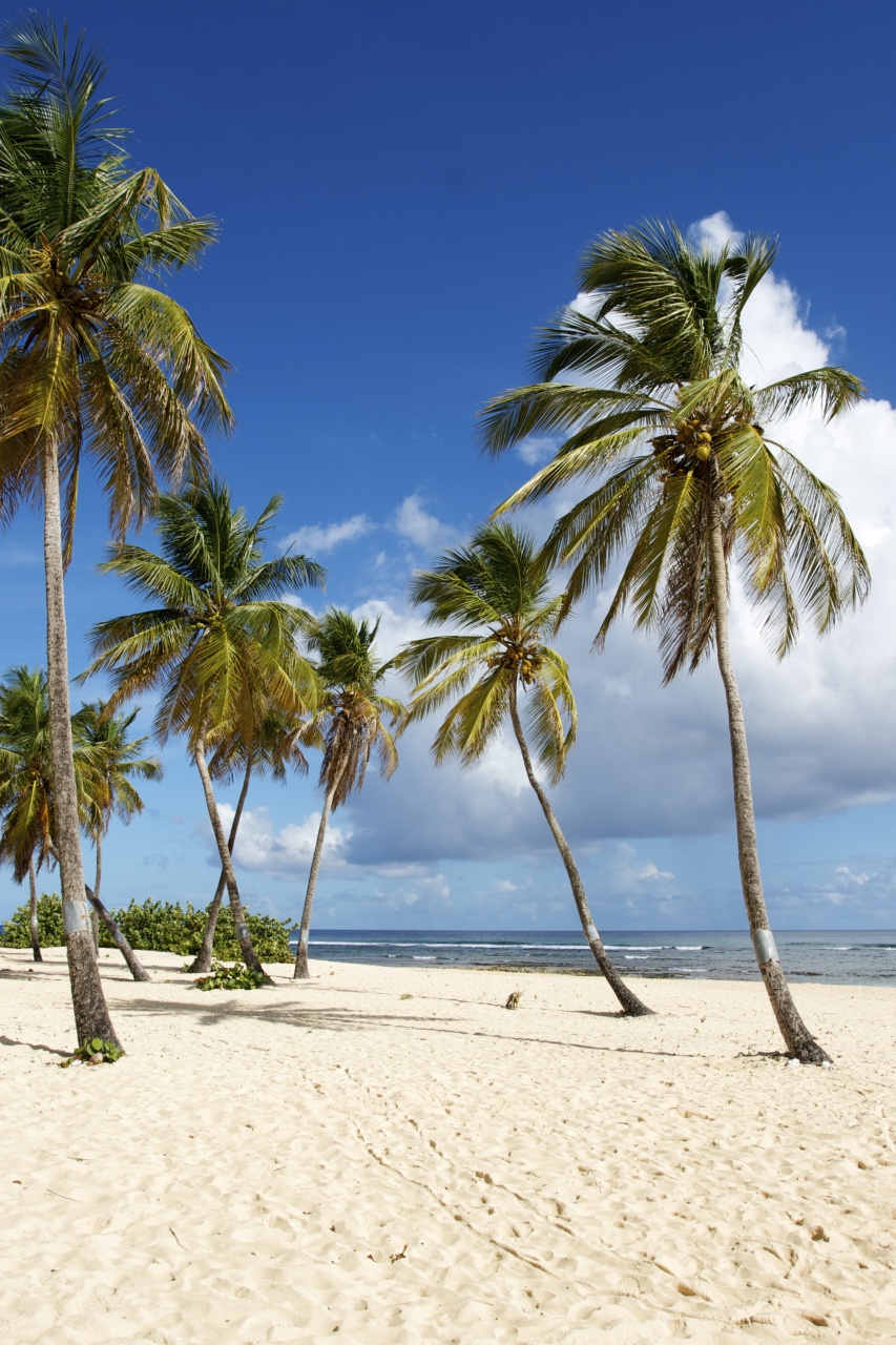 guadeloupe : anse bertrand