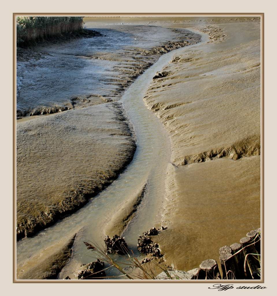 court d'eau mortagne