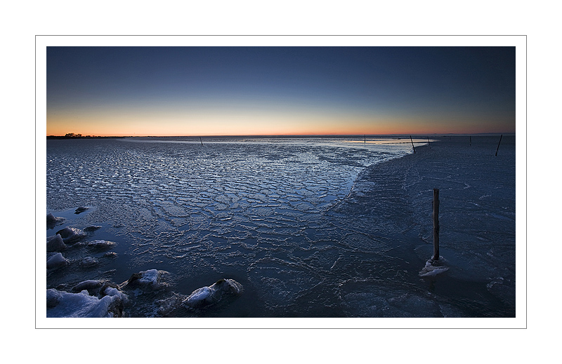 Coup de froid sur la Camargue