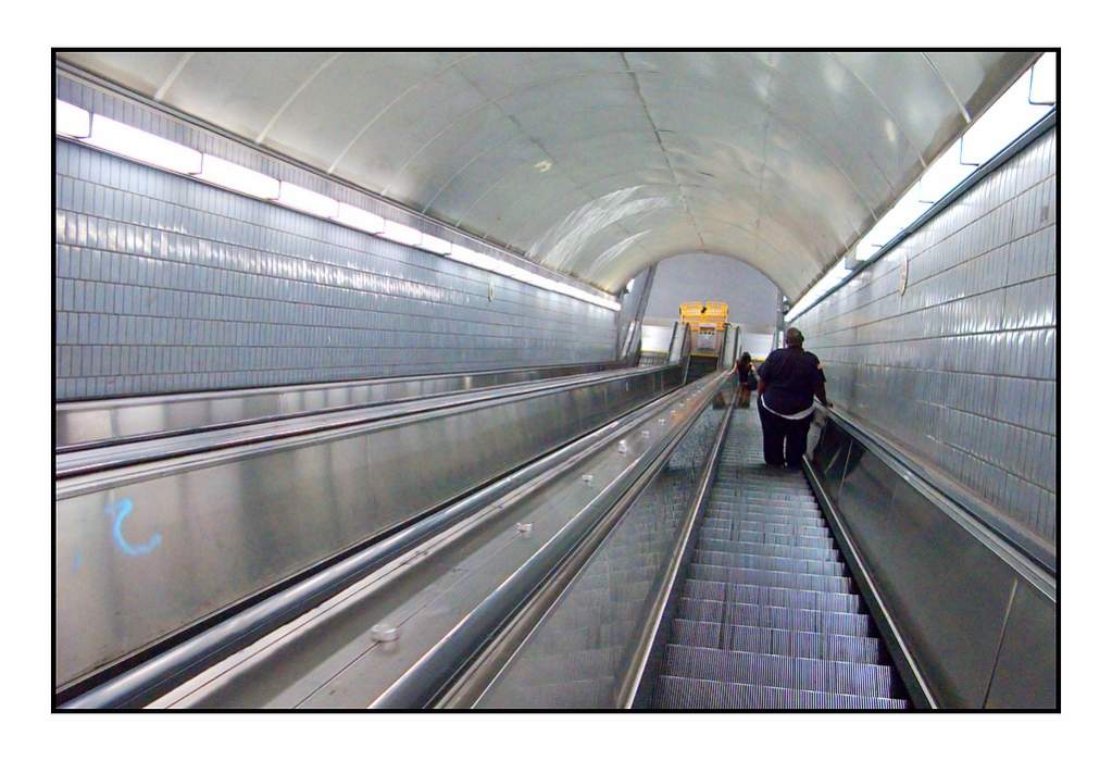 Dans les entrailles de la bte