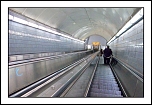 Dans les entrailles de la bte