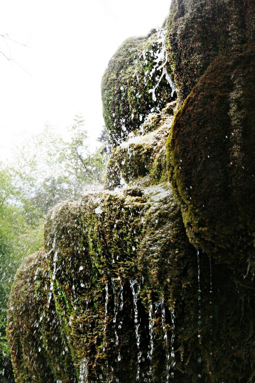 -img_5207.jpg