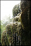 -img_5207.jpg