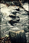-img_5159.jpg