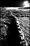 IMG 9286