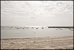 IMG 8540