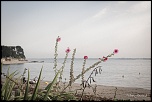IMG 9396