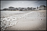 IMG 8587