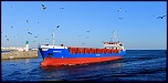 -img_8333.jpg