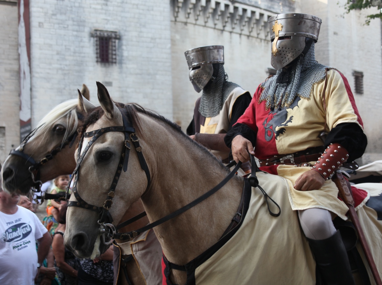 tarascon...Fete Medievale 19 Aout 2012 123