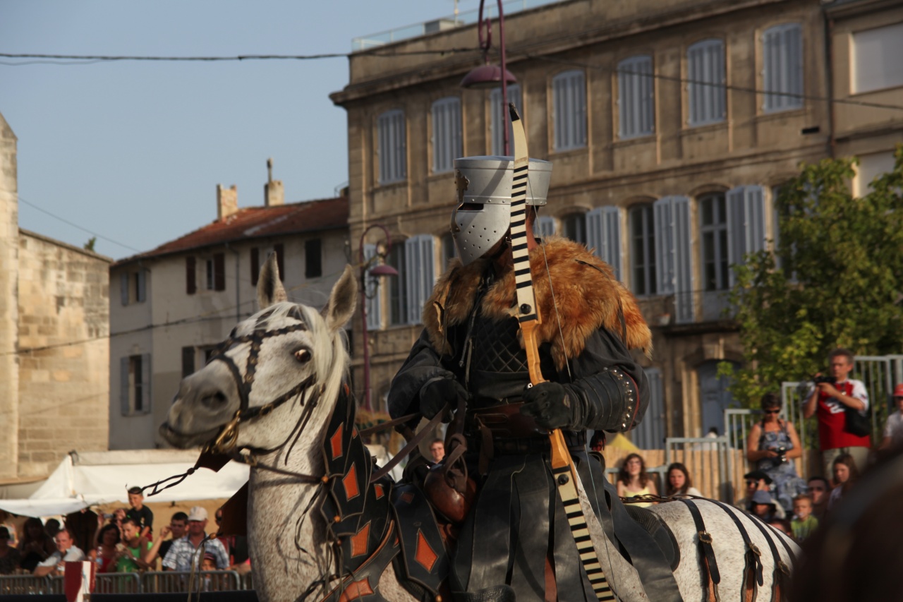 tarascon...Fete Medievale 19 Aout 2012 175
