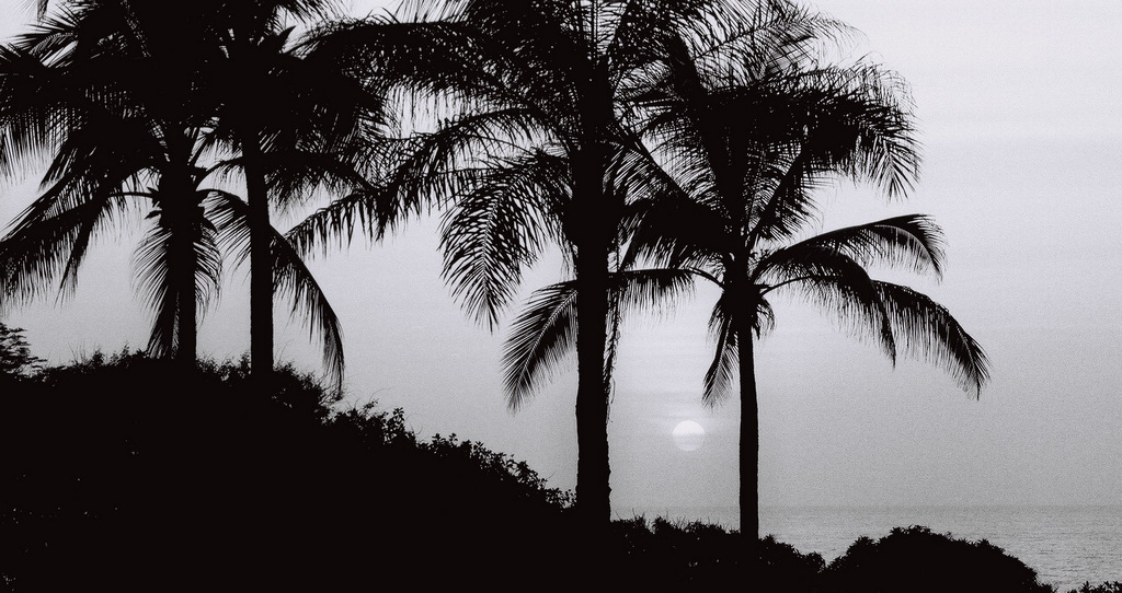 EOS 30v + 28-70- f/2.8L