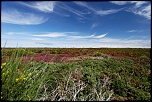 -img_4262.jpg