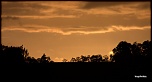 -img_8462.jpg