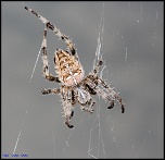 choix objectif impossible-img_3583.jpg
