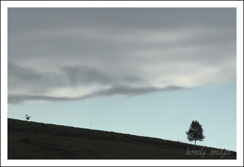choix objectif impossible-_mg_0342_1paysage.jpg