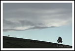 choix objectif impossible-_mg_0342_1paysage.jpg