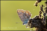 -img_4208.jpg