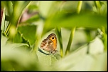 -img_1961.jpg