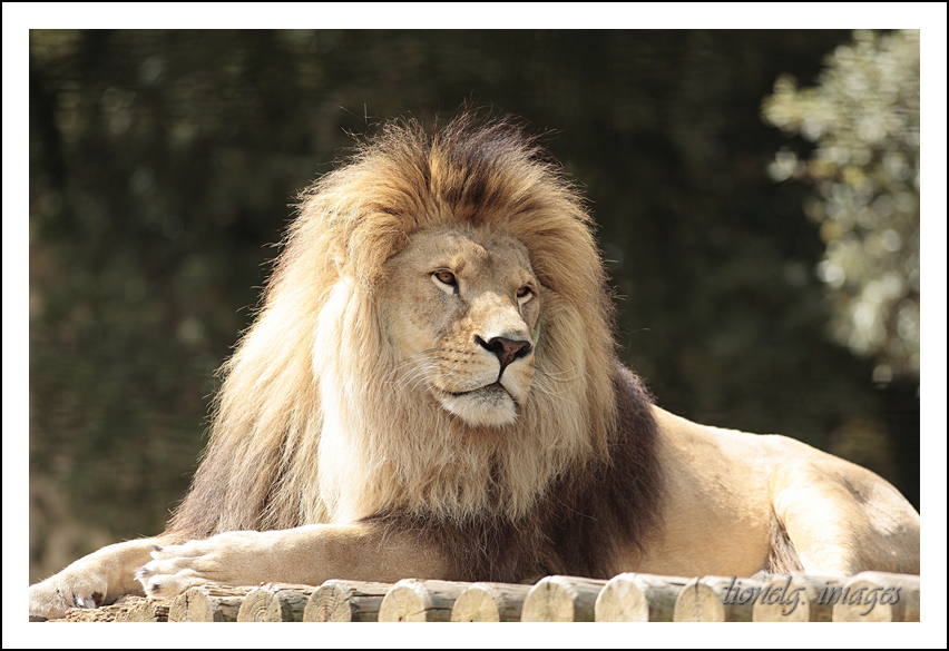 choix objectif impossible-_mg_6145the-king.jpg