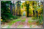 Chemin automne