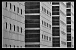 Premiers "Cliks" avec le 500D