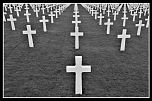 Salut, Salut-4485.jpg