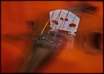 -img_4019_2.jpg