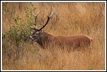 -img_0978.jpg