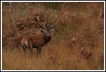 -img_1002.jpg