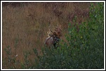 -img_1016.jpg